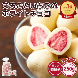 ܂邲Ƃ zCg`R 250g 25 l t[YhC  C`S o^Cf[ zCgf[ `R[g p e XC[c 