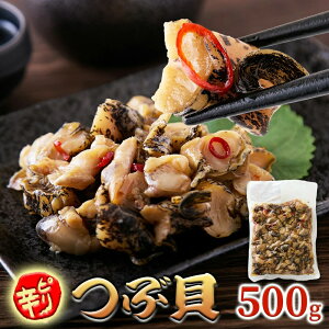 Y sh ԊL 500g Ⓚ e OY 󐆂 ґ ܂ т̂ r[ { ӎ ̍ ̓ ̓ Ε  Mtg O 