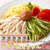うめねぇちゃん 5食セット スープ付 冷やし中華 梅スープ 和風 梅だれ 夏 生麺 細中華麺 梅風味 麵類 送…
