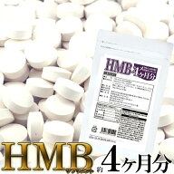 HMB サプリメント どっさり 約4ヶ月分 筋肉 たんぱく質 ダイエット BCAA バリン ロイシン イソロイシン …