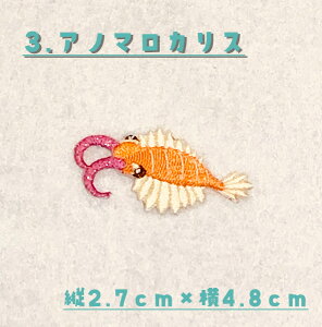 �Ñ㐶�����b�y�� �ۈ牀 �c�t�� ���w�Z ���� ���w �i�� �n���h���C�h �I���W�i�� �j�̎q ���̎q ���킢�� �A�C�������b�y�� �v���[���g ���蕨