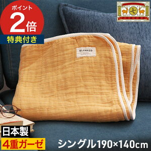 yTt365oׁz K[[Pbg 100 Ђ| uPbg ėp { 4dK[[ xr[ Mtg Ԃ q VRf ۈ牀 q l RbgPbg 唻 |zc Q [