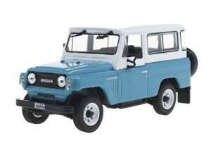 First43it@[Xg43j 1/43 Y pg[ 300 H-60 1970 Cgu[/zCg COdl LHD ~jJ[