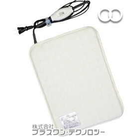 生体エネルギー発生装置PS型