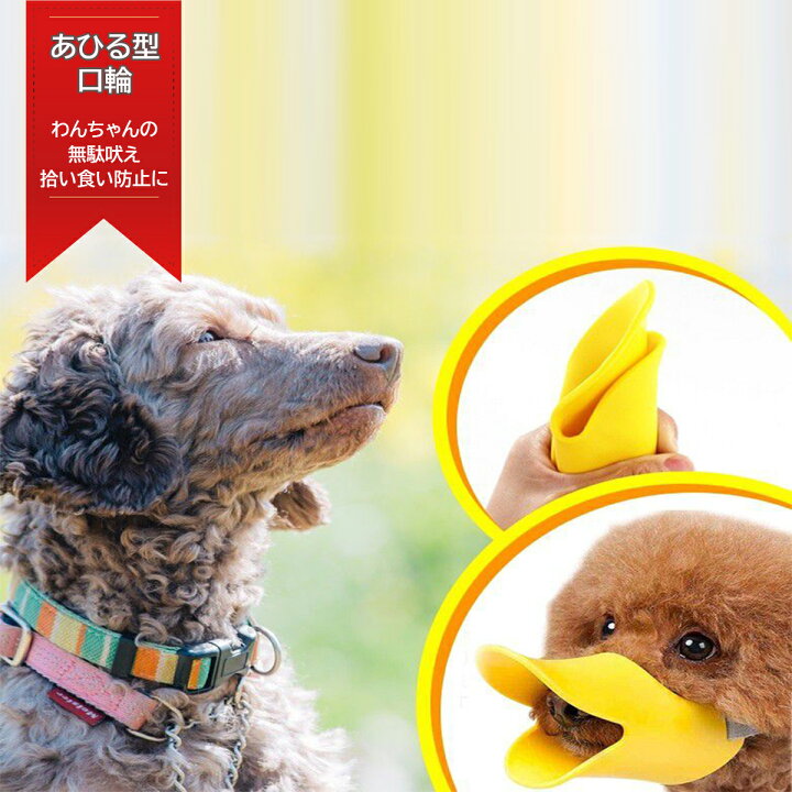 楽天市場 4 1全品ポイント2倍 犬 吠え 防止 口輪 無駄吠え 拾い食い あひる口輪 かわいい あひる口 しつけ用 小中型犬用 ペット用品 Branche 楽天市場店