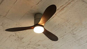 a V[Ot@ REAL wood bladesJE-CF017V[Ot@Cg  V[Ot@