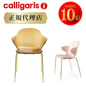 yK㗝XzJKX `FA Tgy SAINT ROPEZ CS1845 2rZbg_CjO`FA 2rZbg calligaris JKX JKX CeA