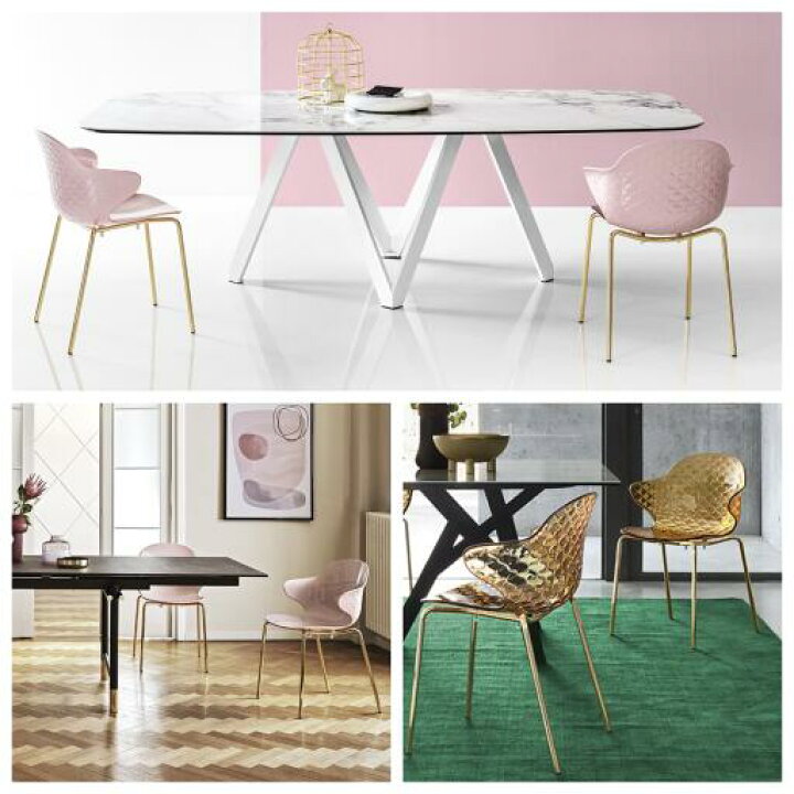 カリガリステーブル＆カルテルチェアー 2点セット - その他 