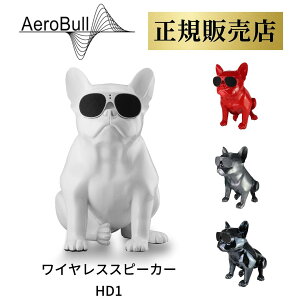 y dቹzGAu HD1 Bluetooth Xs[J[ CXXs[J[ t`uhbO  u IuWF CeA  킢 v[g Mtg rO Xܗp AeroBull HD