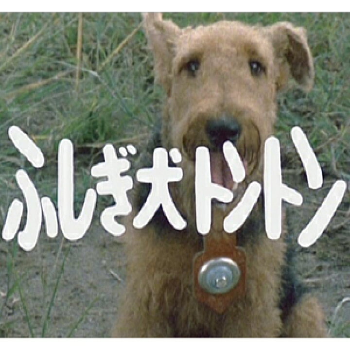 楽天市場】ふしぎ犬トントン DVD-BOX HDリマスター 昭和の名作ライブ  