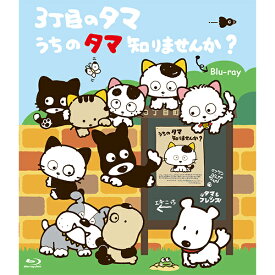 楽天市場 松本真奈美の通販