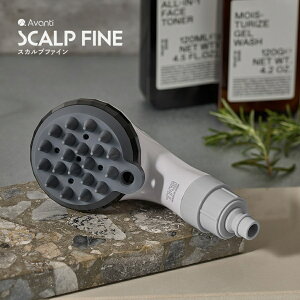 XJvt@C V[wbh TK-A301 PApf  t@Cou×XJvuV 玉ꏜ si }CNou { XJvt@C X^[^[Lbg