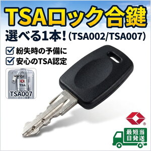 �ŒZ�������� �I�ׂ� TSA002 TSA007 �X�y�A�L�[ 1�{ TSA���b�N �}�X�^�[�L�[ �X�[�c�P�[�X �� ���� �������̗\���� �L�����[�P�[�X ���s �h�ƃO�b�Y�P�i1�{ ���� �j�� �\�� �C�O���s �L�����[�o�b