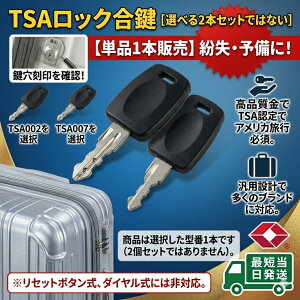�ŒZ�������� �I�ׂ� TSA002 TSA007 �X�y�A�L�[ TSA���b�N 1�{ �}�X�^�[�L�[ �X�[�c�P�[�X �� ���� �������̗\���� �L�����[�P�[�X ���s �h�ƃO�b�Y�P�i1�{ ���� �j�� �\�� �C�O���s �L�����[�o�b