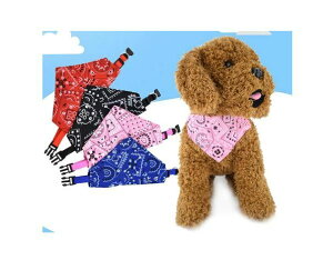  Lp L qL lR  L S y ybgp 킢 t@bV _炩̂ŁAтɕSȂ ȃ_  \tg TCY ANZ