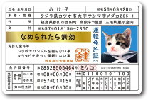 楽天市場】なめ猫免許証の通販