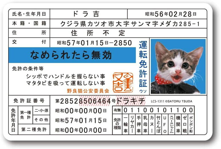 楽天市場】送料無料 なめ猫 なめんなよ 免許証 ドラ吉 キャラクター 