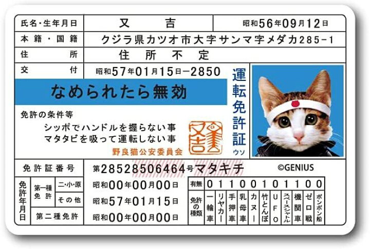 楽天市場】送料無料 なめ猫 なめんなよ 免許証 又吉 キャラクター 