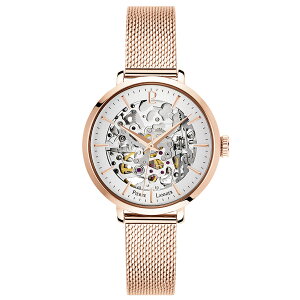 sG[jG I[g}eBbN 35×35×12mm 3Ch 60g tX fB[X rv (芪t) XPg Pierre Lannier automatic NX^KX Vo[ sNS[h 