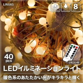 【P20倍+100円OFFクーポン】イルミネーションライト 電池 LED クリスマス キャンプ 屋内 屋外 USB ジュエリーライト ガーデンライト ガーランド ライト ワイヤーライト ロープライト リモコン付 タイマー機能 防水 飾り ストリングライト テント