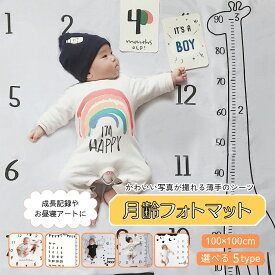 【100円OFFクーポンあり】月齢 フォト シート シーツ グッズ メモリアルシート お昼寝アート用フォトシート 寝相アート ニューボーンフォト ベビー 赤ちゃん 新生児 100日 ハーフバースデー 赤ちゃんの記念撮影に インスタ映え 記念写真 ベビーアート 記念日フォト