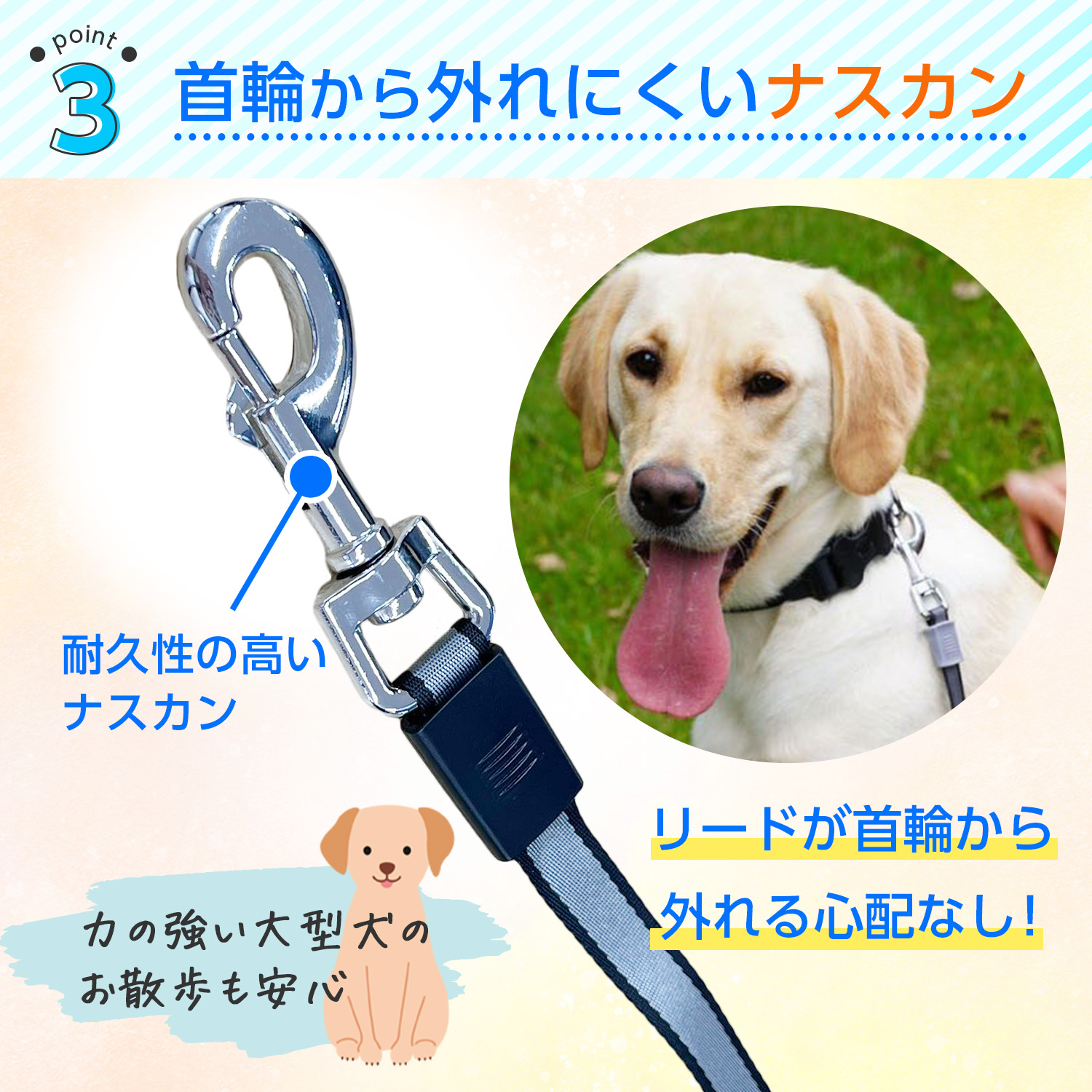 楽天市場】【LINE追加で5％OFF】犬 リード 犬用 伸縮リード 8m テープ