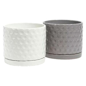 yRXgREAEgbgzI[o[obN njJ Z~bNv^[ a20cm x 16.5cm 2Zbg Aؔ Ԕ ϗtA A p 픫 rOp K[fjO k 