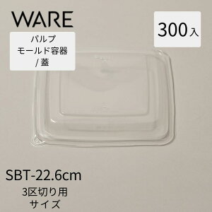 pv[h eCNAEg e ĝėe ٓe@SBT- PP 22.6cmppvgCp W (300)