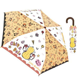 yԌN[|zzzLN^[܏P `bvf[ t@V[|bv 53cm 90337 WFCYvjO Mtg `bvƃf[ v[g qǂP 킢