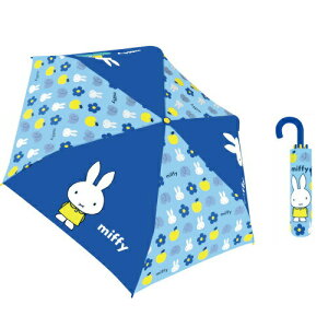 y|Cgő30{ vGg[zLN^[܏P ~btB[ u[ 90344 WFCYvjO  JT Mtg v[g qǂP 킢