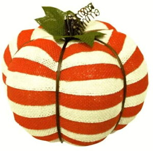 t@ubNpvL {[_[ SA-1009 Fߋ nEB NX}X v[g