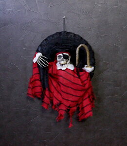 y|Cgő30{ vGg[z[rOXJpC[c[X HW-1358 KCRc Fߋ nEB v[g