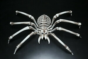 yzWCAg{[XpC_[ HW-1416 N nEB Fߋ NX}X v[g