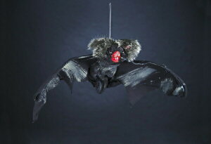 fBXvCARE uE HW-1473BR Fߋ nEB  NX}X v[g