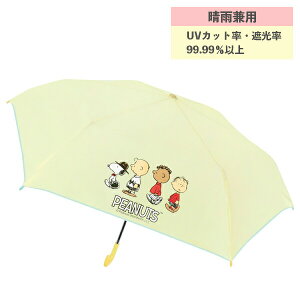 y|Cgő29{ vGg[zJp܏P Xk[s[ N[ 98059 WFCYvjO  LbY q ܂肽 NX}X v[g qǂP 킢