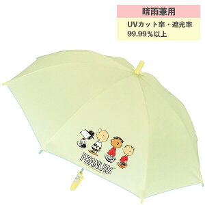 y|Cgő29{ vGg[zJpLbYP Xk[s[ N[ 98065 45cm WFCYvjO  P q NX}X v[g qǂP 킢