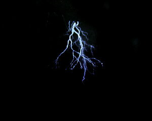 yzvWFNVT_[Cg TEht HW-1330 Fߋ nEB NX}X v[g