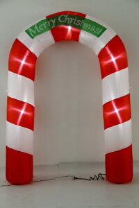 GA[fBvCXA[` LfB WG-9526 Fߋ NX}X C~l[V 