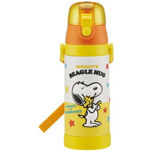 3DbNt_CNg{g Xk[s[ 480ml  }O SDPV5 XP[^[ NX}X v[g Skater