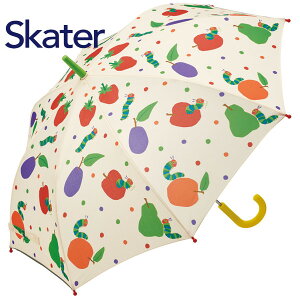 y|Cgő30{ vGg[zXP[^[ q P55cm ͂؂ނ UB1N ǂ qǂ LbY ʉ ʊw J CObY P Skater v[g Mtg