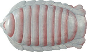 y|Cgő29{ vGg[zH [C ܂ݎM _CIEO\NV SAN-2669 TA[g H  e[uEFA ʔ j[N G Mtg NX}X v[