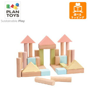 y|Cgő29{ vGg[zjbgubN40pXe 5507 vgC PLANTOYS ؂̂ ؐߋ Mtg NX}X v[g xr[mߋ ςݖ
