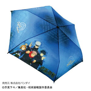 LN^[܏P p u[ 53cm 90374  NX}X v[g qǂP 킢