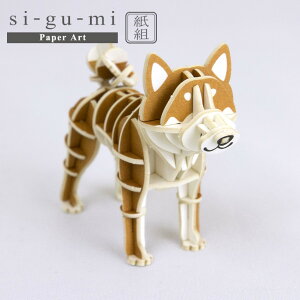 yԌN[|zzz[֑ ̃pY si-gu-mi PLUS Č G[][  g ̃pY y[p[Ntg H  CeA v[g Mtg