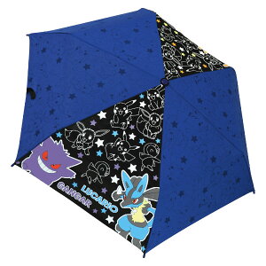 ܏P 53cm |PbgX^[u[ubN 90429  JT LbY qP LN^[P ʊw ~J J̓ o 킢 |P NX}X v[g Mtg qǂP