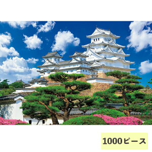 1000}CNs[X WO\[pY PH M81-872 {̕i ro[ Mtg v[g