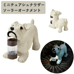 \[[I[ig ~j`AViEU[ SR-0890 ZgNtg K[fCg  O  h O Ɩ C~l[V NX}X v[g