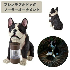 \[[I[ig t`uhbO SR-0891 ZgNtg K[fCg tu  O  h Ɩ C~l[V NX}X v[g