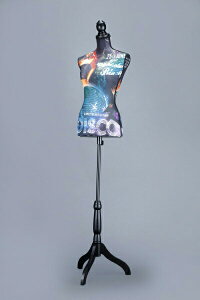 CgtfBXvCg[g\[ DISCO WG-8773 Fߋ NX}X C~l[V 