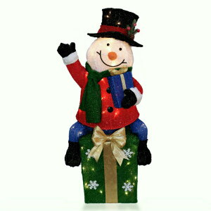 LEDt@ubN NX}X v[gXm[} WG-2781SN Fߋ NX}X C~l[V 